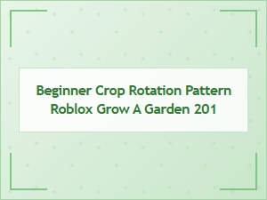 Beginner Crop Rotation Pattern for Roblox Grow a Garden