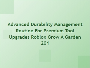 Managing Durability for Premium Tool Upgrades